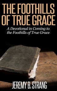 Foothills of True Grace Cover Idea 7.18.2014