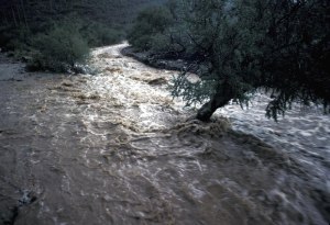 flood rushing water