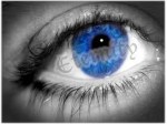 eternity - eye
