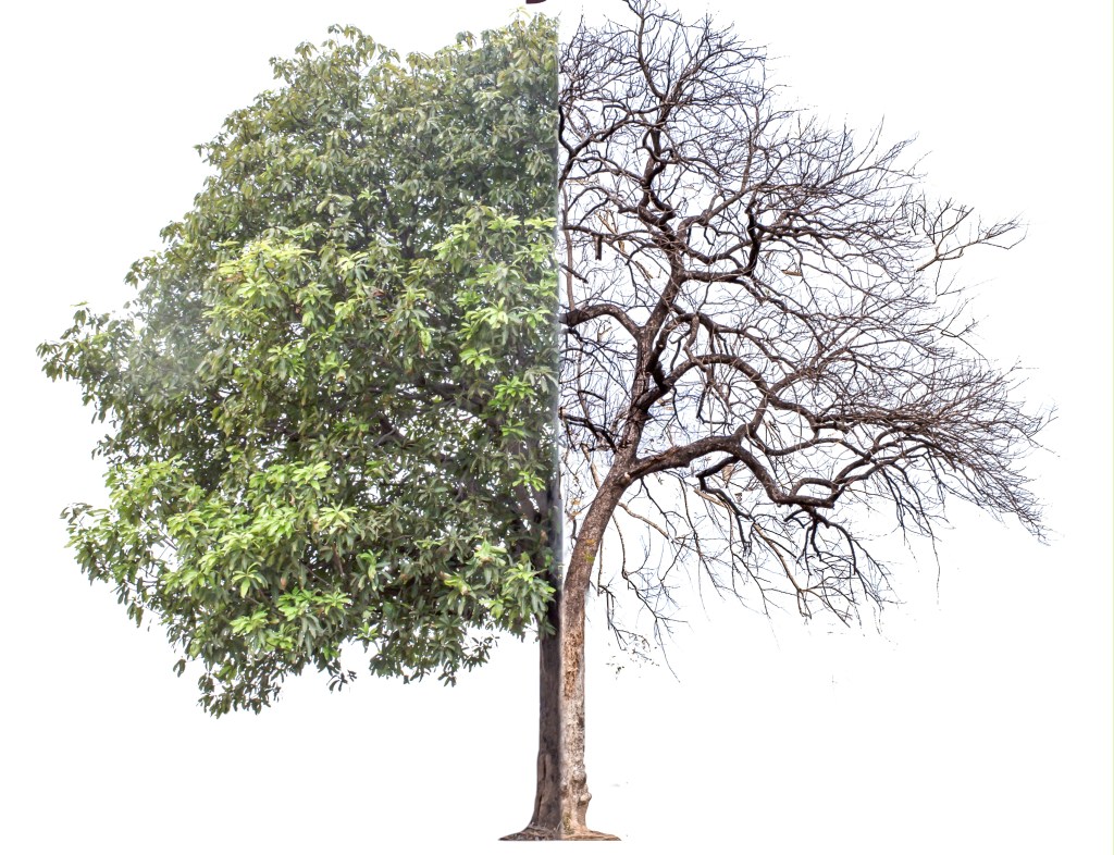 What Does It Mean To Be Lukewarm? Voddie&nbsp;Baucham